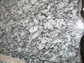 Surf White Granite Tiles 1