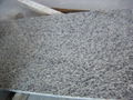 Tiger-Skin-Granite-Slabs 1