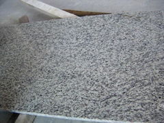 Tiger-Skin-Granite-Slabs