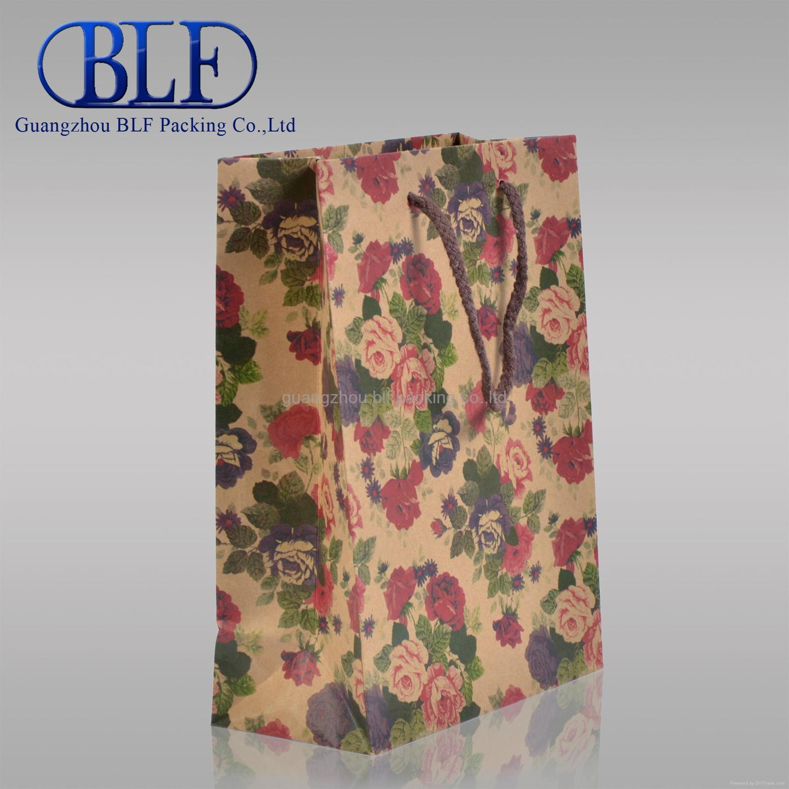 custom printed brown kraft paper bag (BLF-PB003) 4