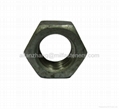 DIN 934 Hex Nuts 2