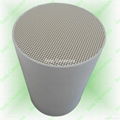 DPF Filter  1