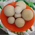 75% alumina ceramic grinding ball 5