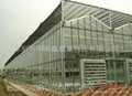 文洛型-玻璃温室大棚