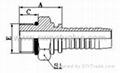 BSP MALE O-RING SEAL  1