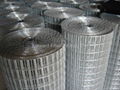 Welded Wire Mesh 5