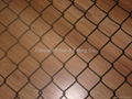 Chain Link Fence 3