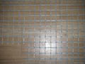 Crimped Wire Mesh 1