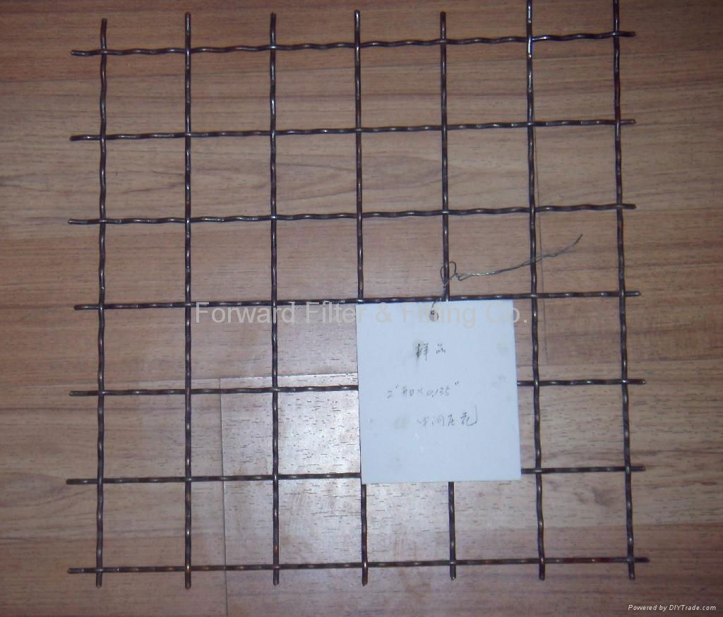 Crimped Wire Mesh 2