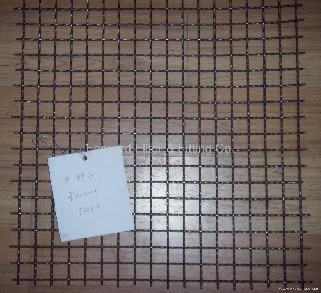 Crimped Wire Mesh 4