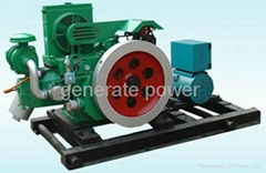 shengdong gas generator set