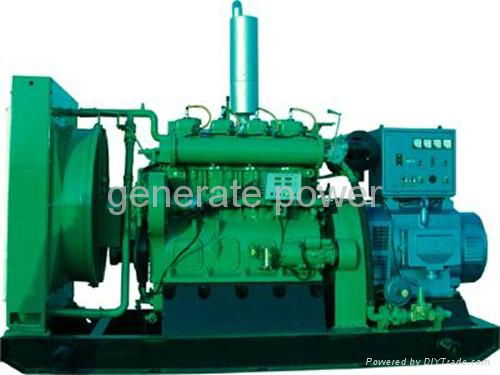 shengdong gas generator set 2