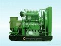 shengdong gas generator set 3