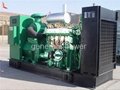 shengdong gas generator set 4