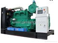 Cummins Biogas generator 5