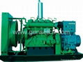 Shengdong Biogas Generator 1