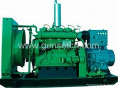 Shengdong Biogas Generator