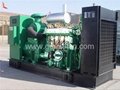Shengdong Biogas Generator 3