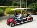 2021 ECARMAS resort buggy shuttle cart