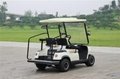 ECARMAS golf cart golf b   y 2