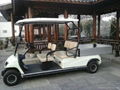 China ECARMAS Electric cargo cart 2021 new type 3