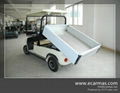 China ECARMAS Electric cargo cart 2021 new type 1