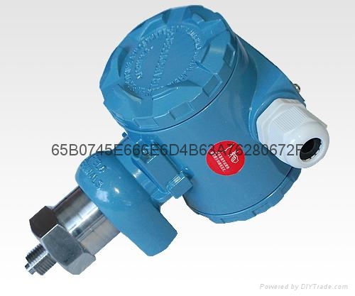 CS20FBEIRM型壓力變送器 2