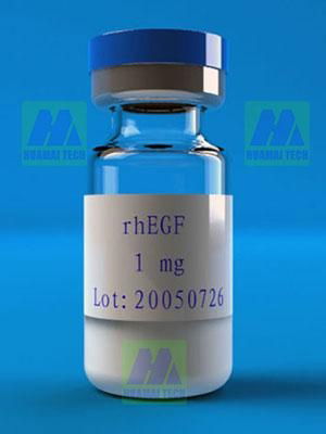  Recombinant human epidermal growth factor (rhEGF)