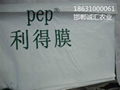 pep利德膜po膜 2