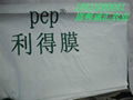 pep利德膜po膜 4
