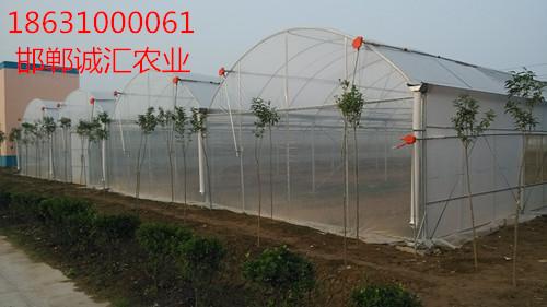 薄膜大棚放风卷膜器厂家批发 4