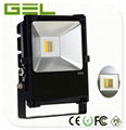 2.4G Remote Control LED Flood Light, RGBW LED Flood Light, WiFi LED Flood Lights 3