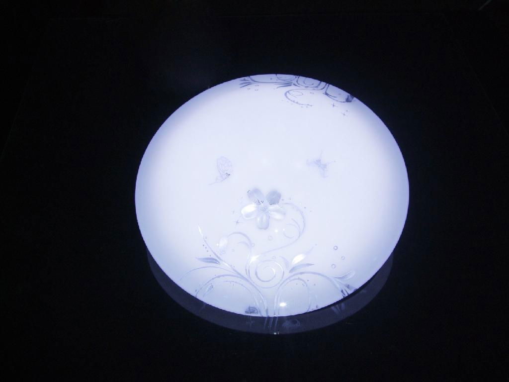 modern Led acrylic light fitting 3