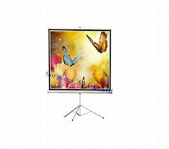 Manual Wall Screen,projection screen for home theater