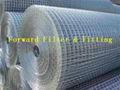 Welded Wire Mesh 3