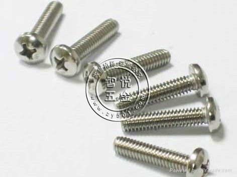 Philips Pan Head Screws