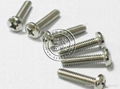 Philips Pan Head Screws 1