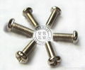 Philips Pan Head Screws 3