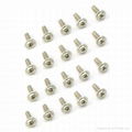 Philips Washer Head Machine Screws (PWM) 1