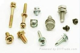 Pan Head Assemblies-Spring Lock Washer and Plain Washer 3