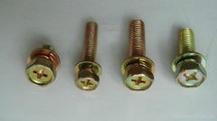 Hex Head Assemblies-Spring Lock Washer and Plain Washer