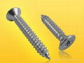 Philips Flat Head Tapping Screws 1