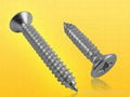 Philips Flat Head Tapping Screws