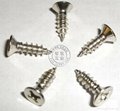Philips Flat Head Tapping Screws 2