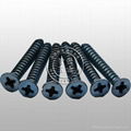 Philips Flat Head Tapping Screws 3