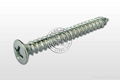 Philips Flat Head Tapping Screws 5