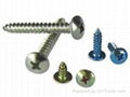 Philips Mushroom Head Tapping Screws 1