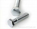 Hex Bolts 4