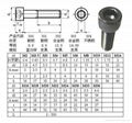 Hexagon Socket Screws 5