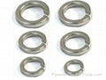 Spring Lock Washers 2